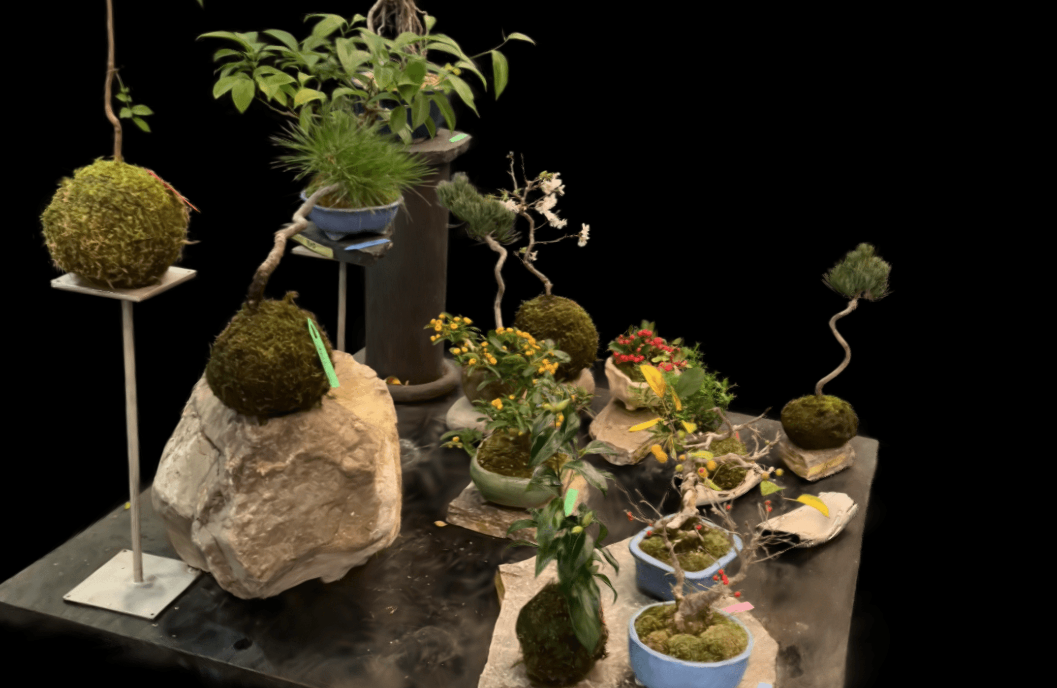 Gaussian Splat Rendering